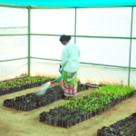 Learn about organic farming