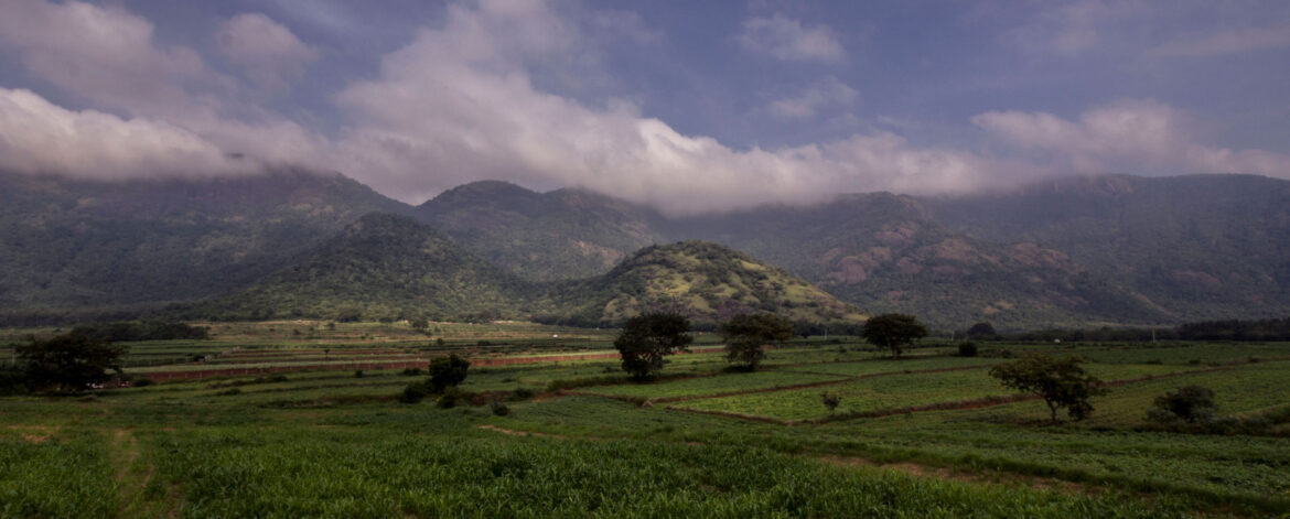 thekkady-blog